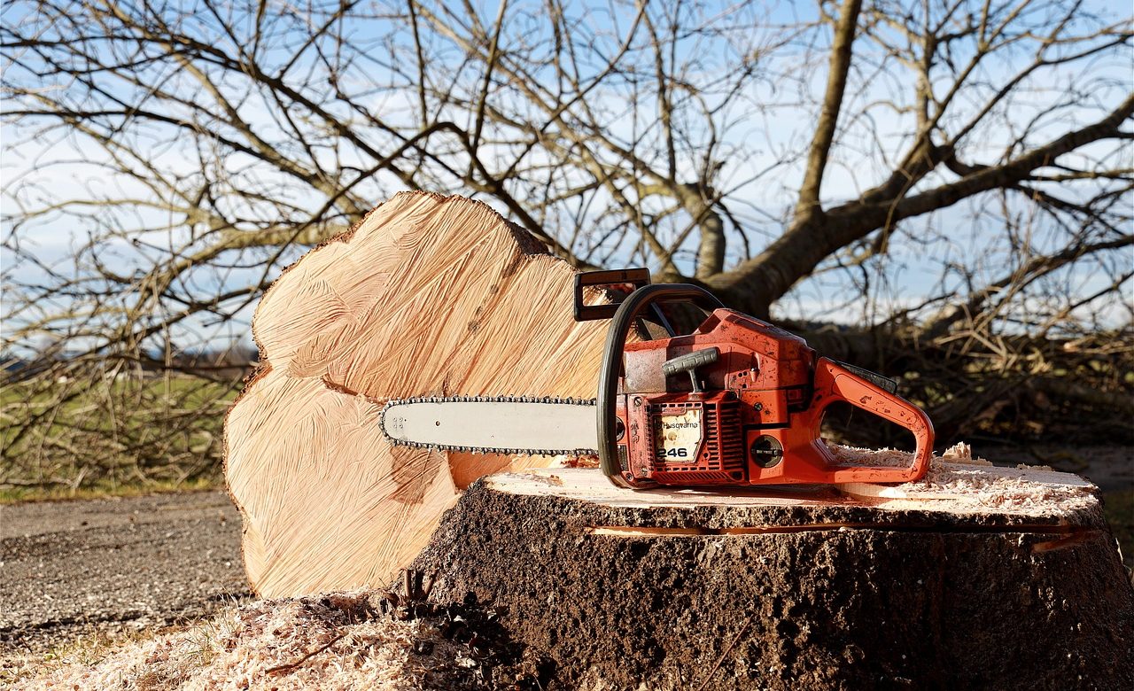 chainsaw-4815949_1280